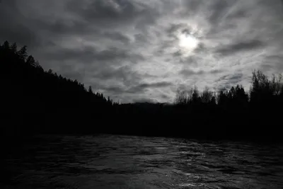 DSC_0215 (Large).JPG